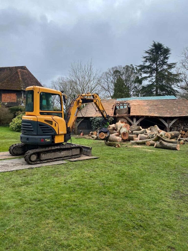 This is a photo of a tree which has grown through the roof of a barn that is being cut down and removed. There is a digger that is removing sections of the tree as well. Earls Barton Tree Surgeons