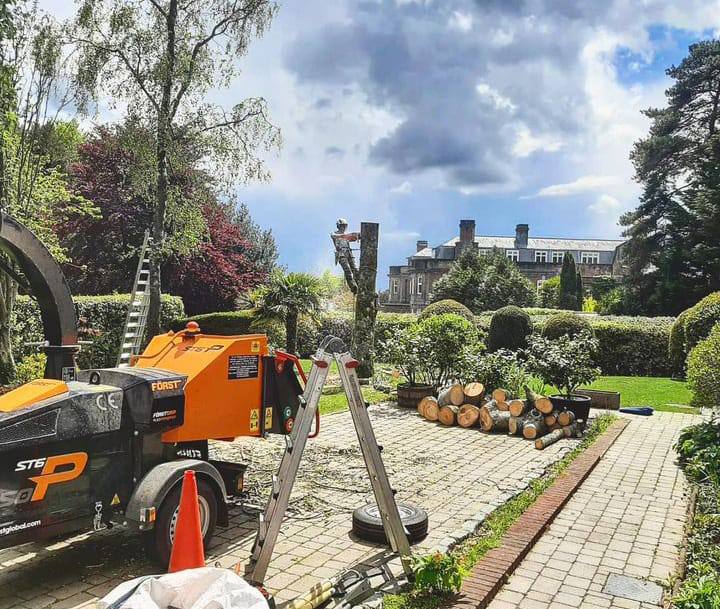 This is a photo of a tree being felled. A tree surgeon is currently removing the last section, the logs are stacked in a pile. Earls Barton Tree Surgeons