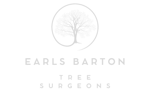 Earls Barton Tree Surgeons